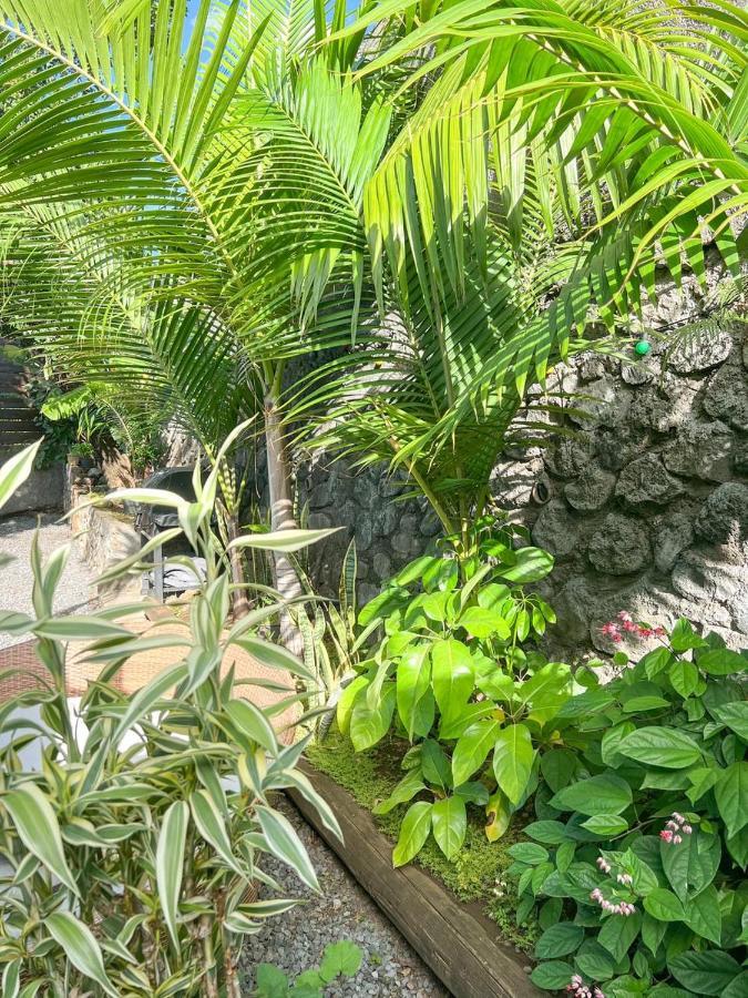 L'Eden - Villa Cosy A Sainte-Clotilde Zewnętrze zdjęcie